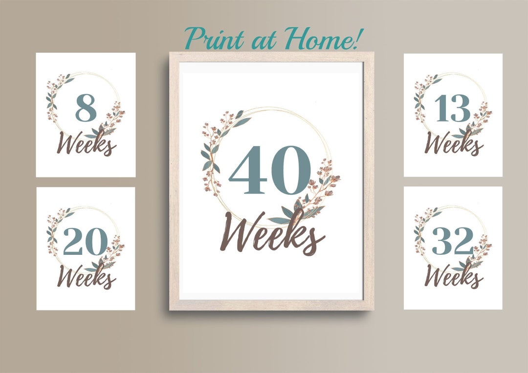 Printable Weekly Pregnancy Signs - Weeks 4-42 Floral Countdown Prints ...