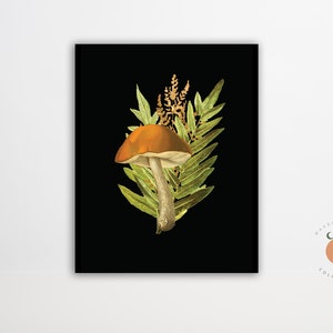 Boletus Longicurvipes Dark Forest Pilz Illustration Fungi Art Pilz Biologie Kunst Poster Wald Kunstdruck