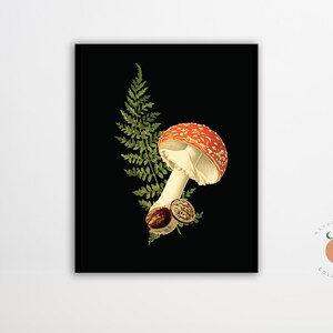 Dark Forest Fliegenpilz Pilz Illustration Pilz Illustration Pilz Biologie Kunst Poster Wald Kunstdruck