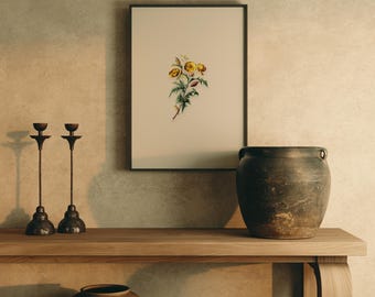 Impresión botánica de flor de globo amarilla para pared, ilustración floral vintage de historia natural, decoración botánica antigua
