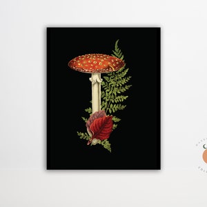 Fly Agaric Dark Forest Mushroom Illustration Fungi Art Mushroom Biology Art Poster Forest Art Print