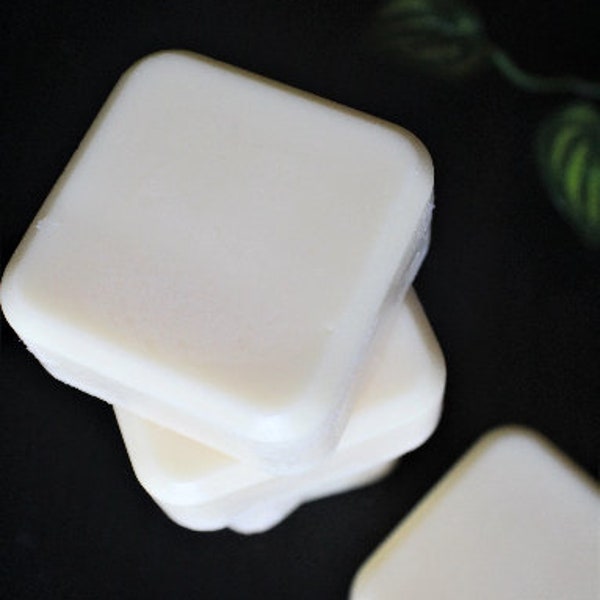 Conditioner Bar w/ Bamboo Extract, VitB5, and Hydrolyzed Silk