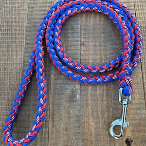 American paracord dog leash