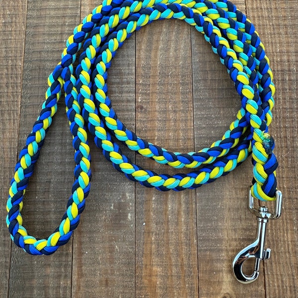 Life with Reef Foundation Special Edition paracord dog leash