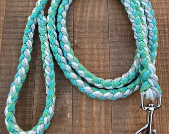 Reflective paracord dog leash, 5 ft dog leash