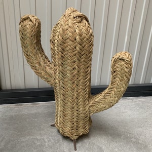 Doum cactus in woven straw on stand 60cm