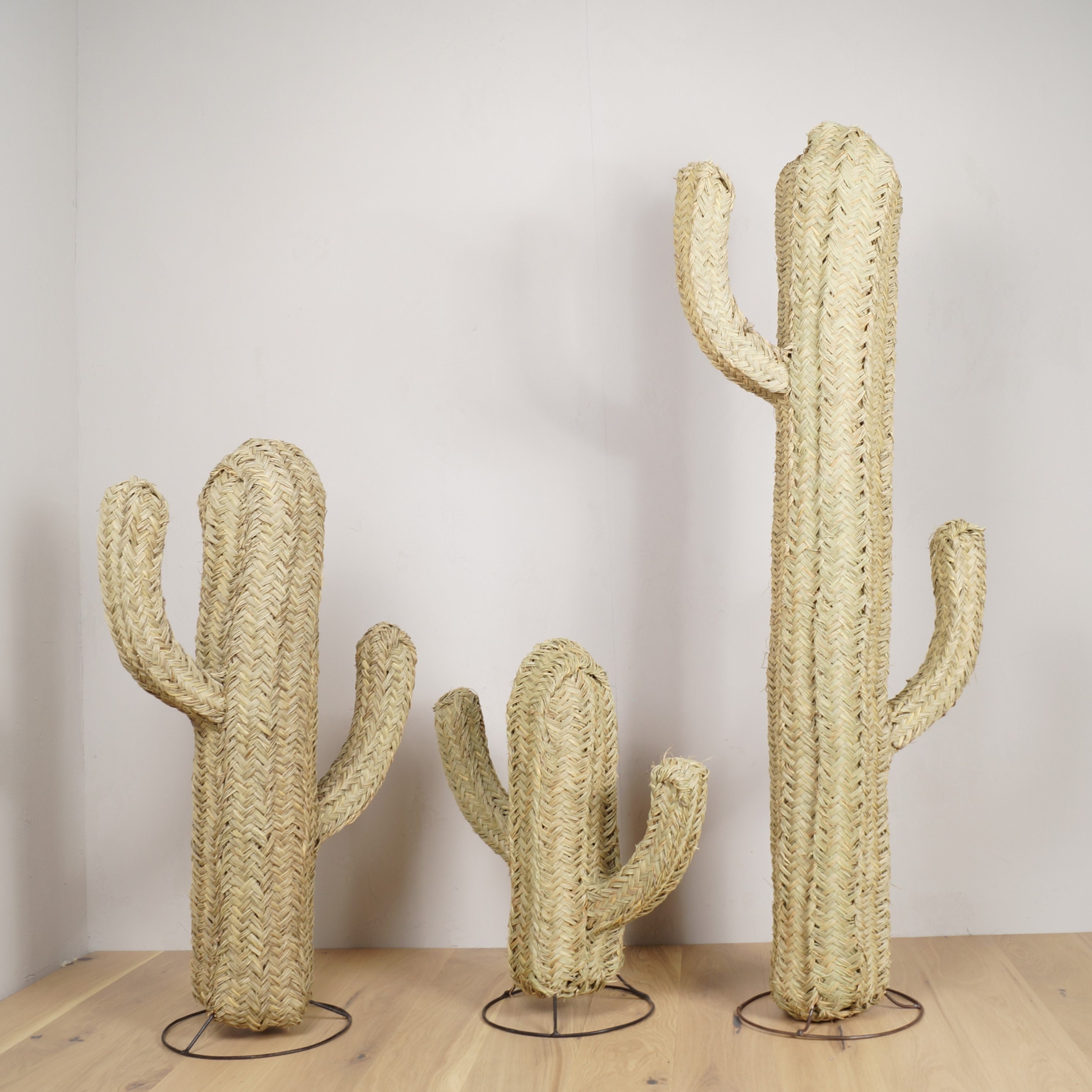Cactus Doum En Paille