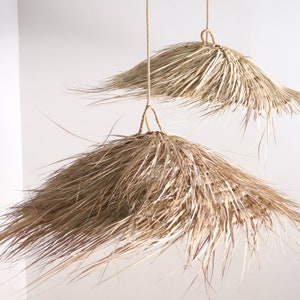 Straw suspension - Parasol