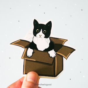 Autocollant en vinyle Tuxedo Cat, Chat jouant, Chat boîte, Ludique, Chat Tuxedo, Autocollant mignon, Cadeaux, Cadeaux Tuxedo Cat, Bullet Journal, Autocollant d’ordinateur portable
