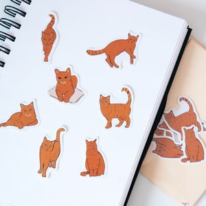 Pacchetto adesivi gatto zenzero, set di 7 adesivi in vinile soriano carino, gattino arancione, piccola illustrazione felina, routine del gatto, regalo per gli amanti dei gatti