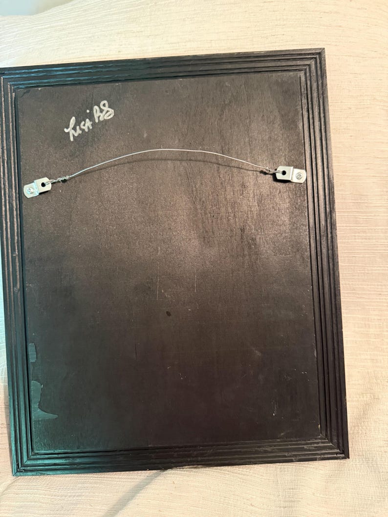 May include: Back of a framed artwork with a black wooden frame. A wire is strung across the back for hanging. The artist's signature, "Lisa AS", is visible in the upper left corner.
