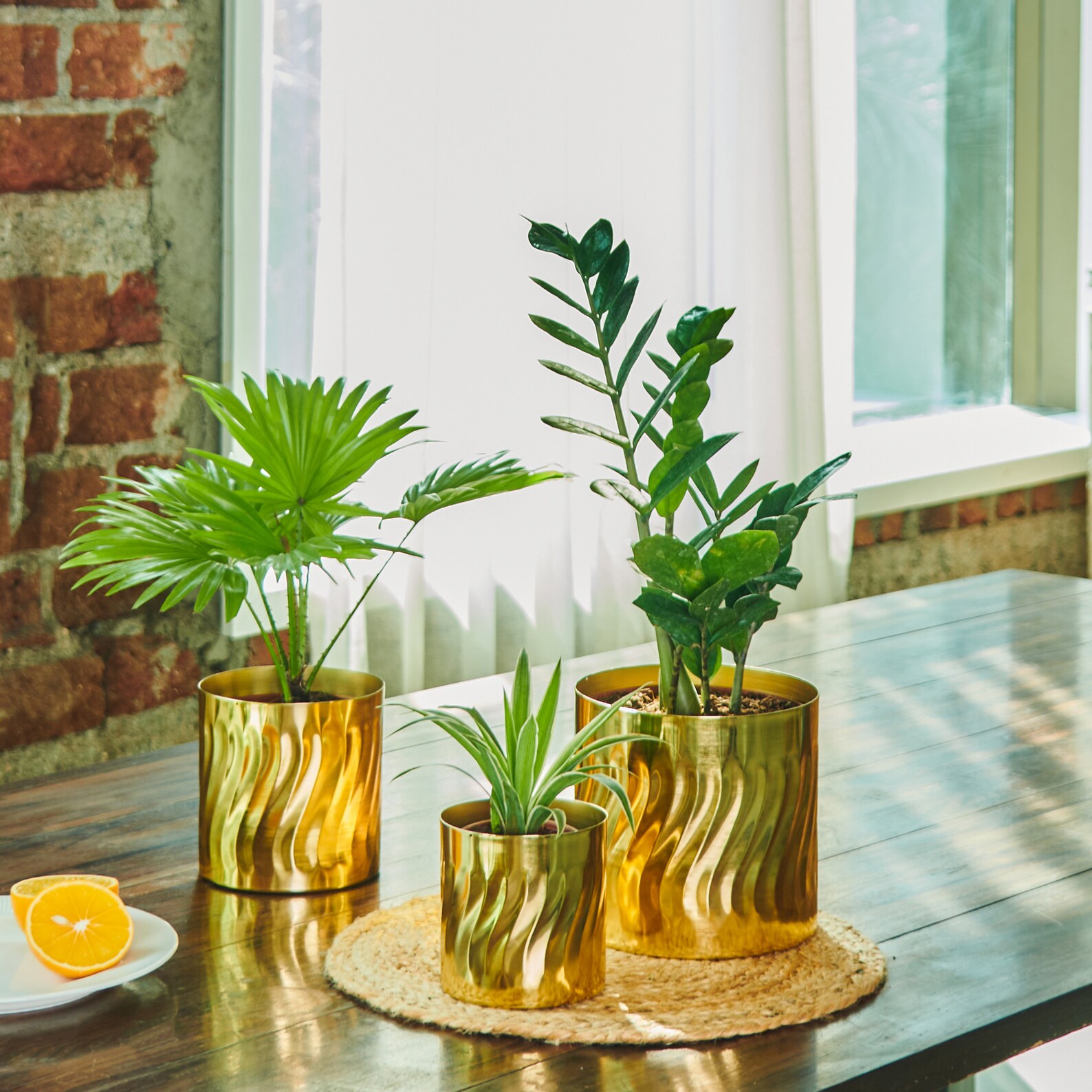 Gold Planter or Pot Succulent Decor and Gift Set of 3 3.2 Etsy