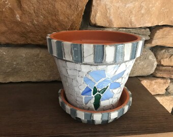 Flowers flower pot