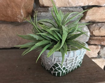 Honeydew melon planter