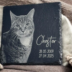 Puede incluir: Una placa cuadrada de pizarra gris oscuro con un retrato detallado de un gato. El nombre del gato, "Chester", y las fechas "28.05.2009" y "27.04.2025" est&aacute;n inscritos en escritura blanca. La placa tiene una superficie texturizada.