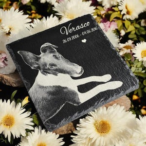 Puede incluir: Una placa conmemorativa para mascotas de pizarra negra con una imagen grabada detallada de un perro. El nombre del perro, "Verasco", y las fechas 26.09.2006 - 04.06.2016 est&aacute;n inscritos en escritura blanca, junto con un peque&ntilde;o s&iacute;mbolo de coraz&oacute;n. Rodeado de flores blancas.