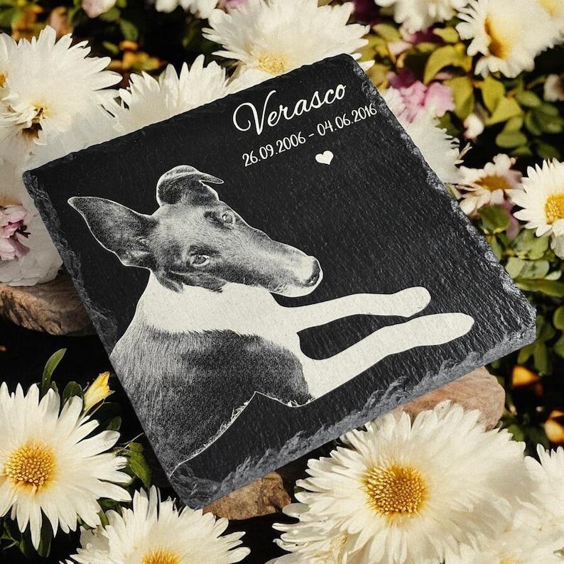 Puede incluir: Una placa conmemorativa para mascotas de pizarra negra con una imagen grabada detallada de un perro. El nombre del perro, "Verasco", y las fechas 26.09.2006 - 04.06.2016 est&aacute;n inscritos en escritura blanca, junto con un peque&ntilde;o s&iacute;mbolo de coraz&oacute;n. Rodeado de flores blancas.