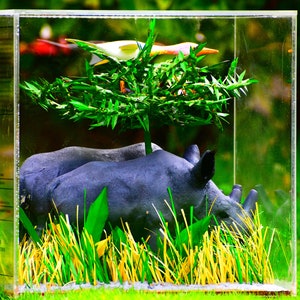 Rhino, Rhino art, Rhinoceros, Rhino sculpture, Wild animal, Wildlife, Wildlife art, Northern white rhino, Fatu and Najin, Handmade art. image 5