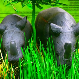 Rhino, Rhino art, Rhinoceros, Rhino sculpture, Wild animal, Wildlife, Wildlife art, Northern white rhino, Fatu and Najin, Handmade art. image 3