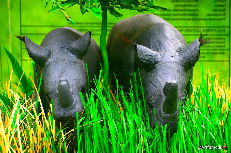 Neushoorn, neushoornkunst, neushoorn, neushoornsculptuur, wild dier, dieren in het wild, natuurkunst, noordelijke witte neushoorn, Fatu en Najin, handgemaakte kunst. afbeelding 3