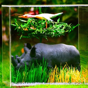 Rhino, Rhino art, Rhinoceros, Rhino sculpture, Wild animal, Wildlife, Wildlife art, Northern white rhino, Fatu and Najin, Handmade art. image 6