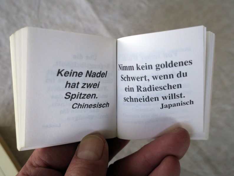 Vintage Minibuch östliche Philosophie Bild 3