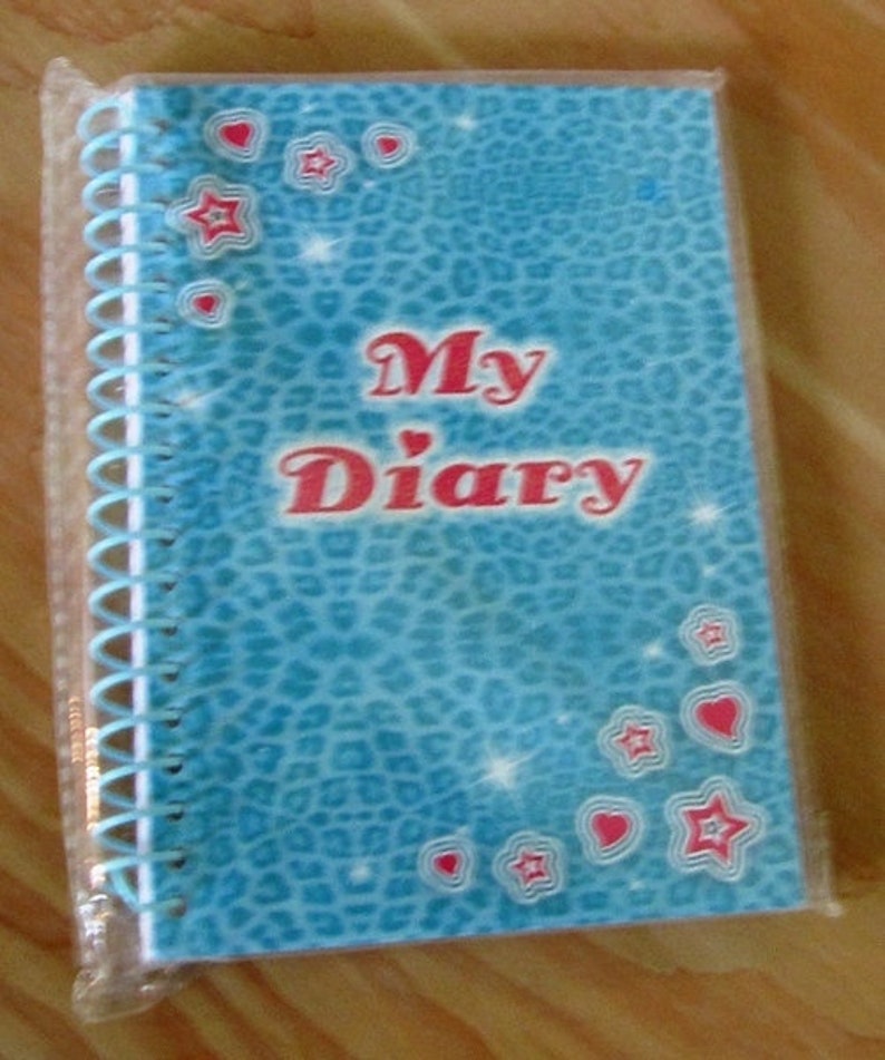 Vintage Tagebuch Einschreibbuch My Diary Bild 3