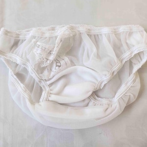 May include: White underwear with a delicate lace and sheer fabric design. The garment features a soft, opaque center panel and is trimmed with scalloped lace along the edges. The overall style is feminine and elegant.