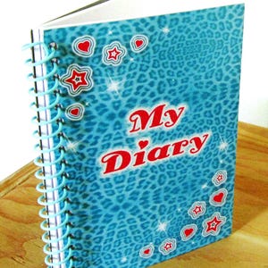 Vintage Diary Writing Book My Diary