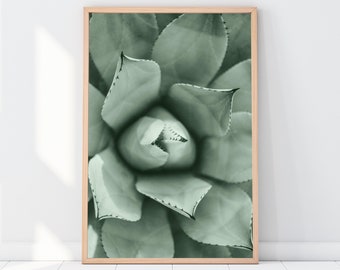 Succulent Print, Cactus Poster, Tropical Print, Nature Art, Botanical Wall Print, Digital Image, Digital Poster Download, Wall Gallery