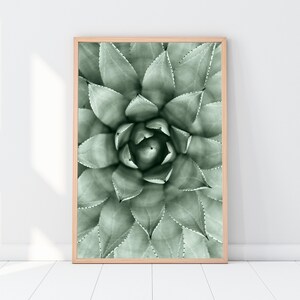 Sukkulenten Druck, Natur Kunst, Kaktus Poster, tropischen Druck, botanische Wanddruck, digitales Bild, digitale Poster Download, Wandgalerie