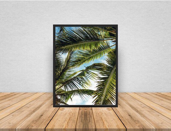 Palm Trees Print Palm Leaf Leaves Tropical Blue Sky | Etsy
