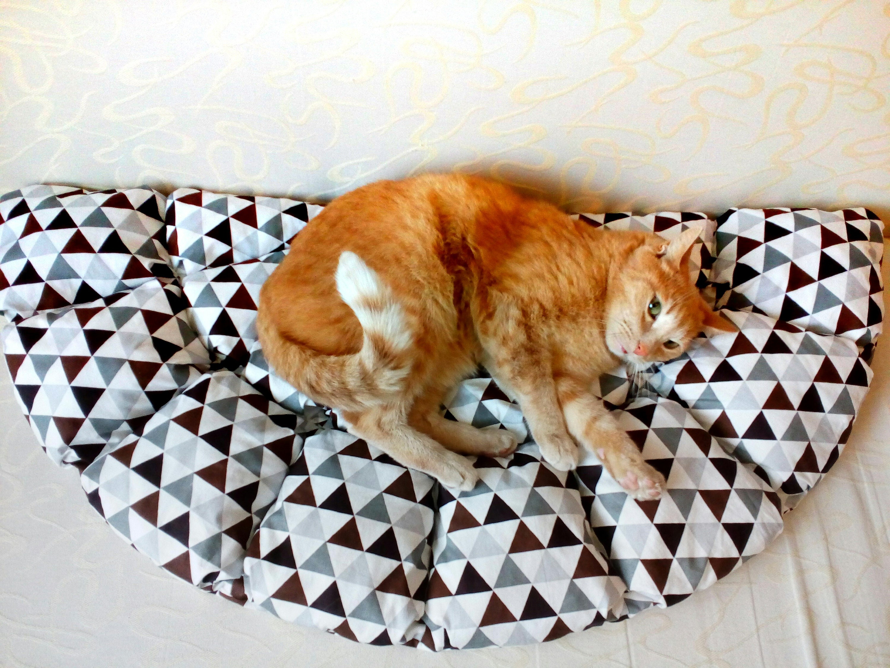 Cat mat Cat rug Cats beds Pets blanket Decor pillow for bed Etsy