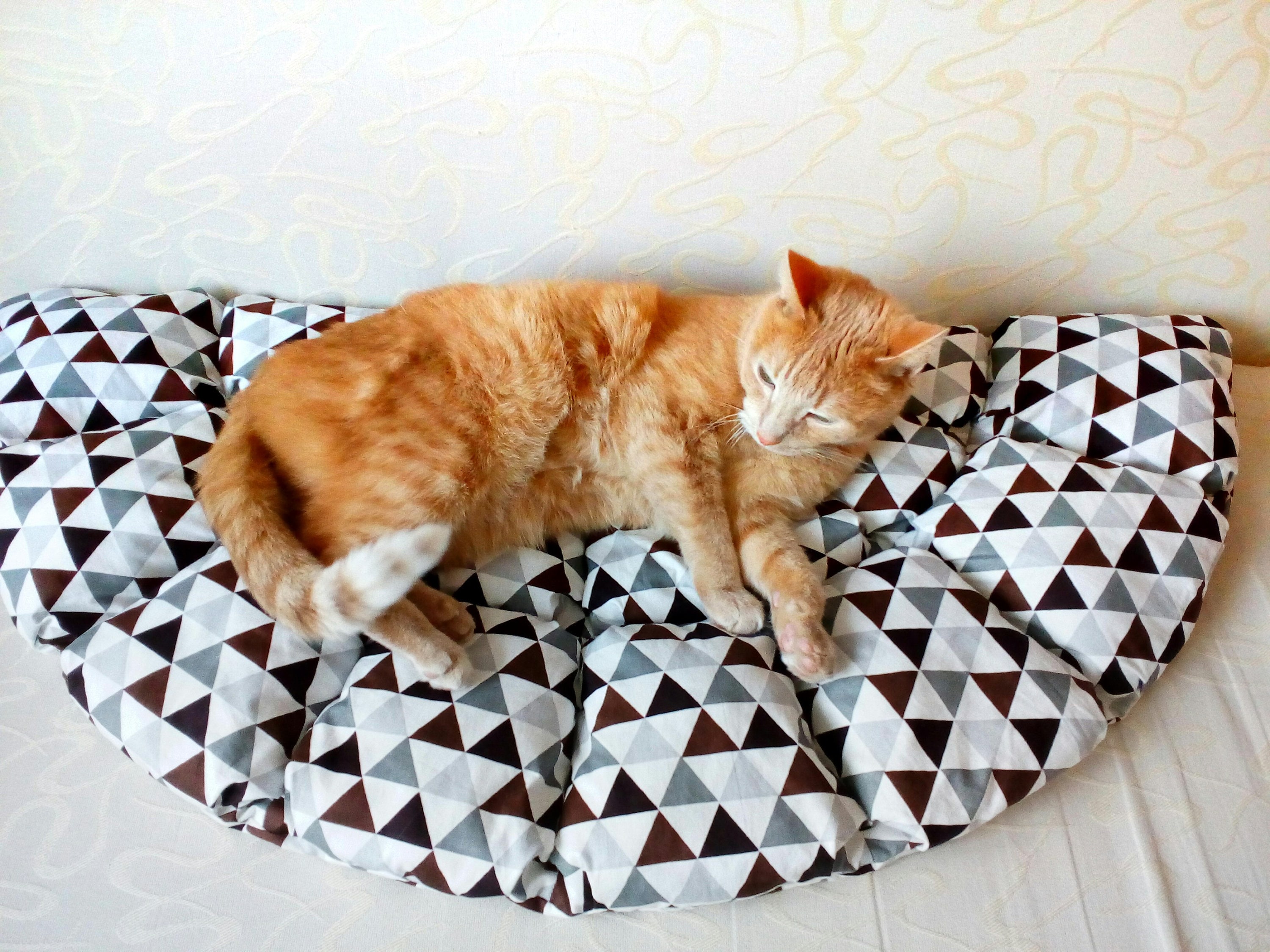 Cat mat Cat rug Cats beds Pets blanket Decor pillow for bed Etsy