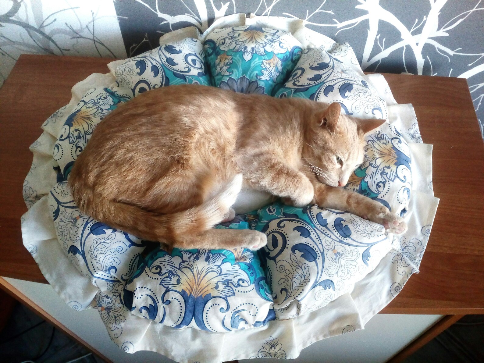 Cat Rug Cats Beds Round Cat Mat Kitten Beds Round Pillow Pet Etsy