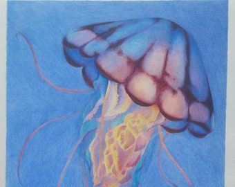 Jellyfish original marker and coloured pencil drawing