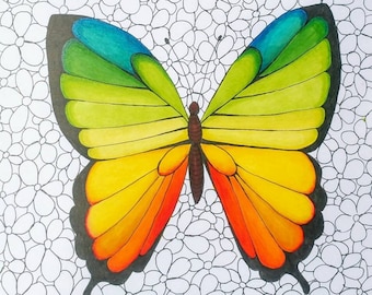 Rainbow butterfly marker and coloured pencil drawing