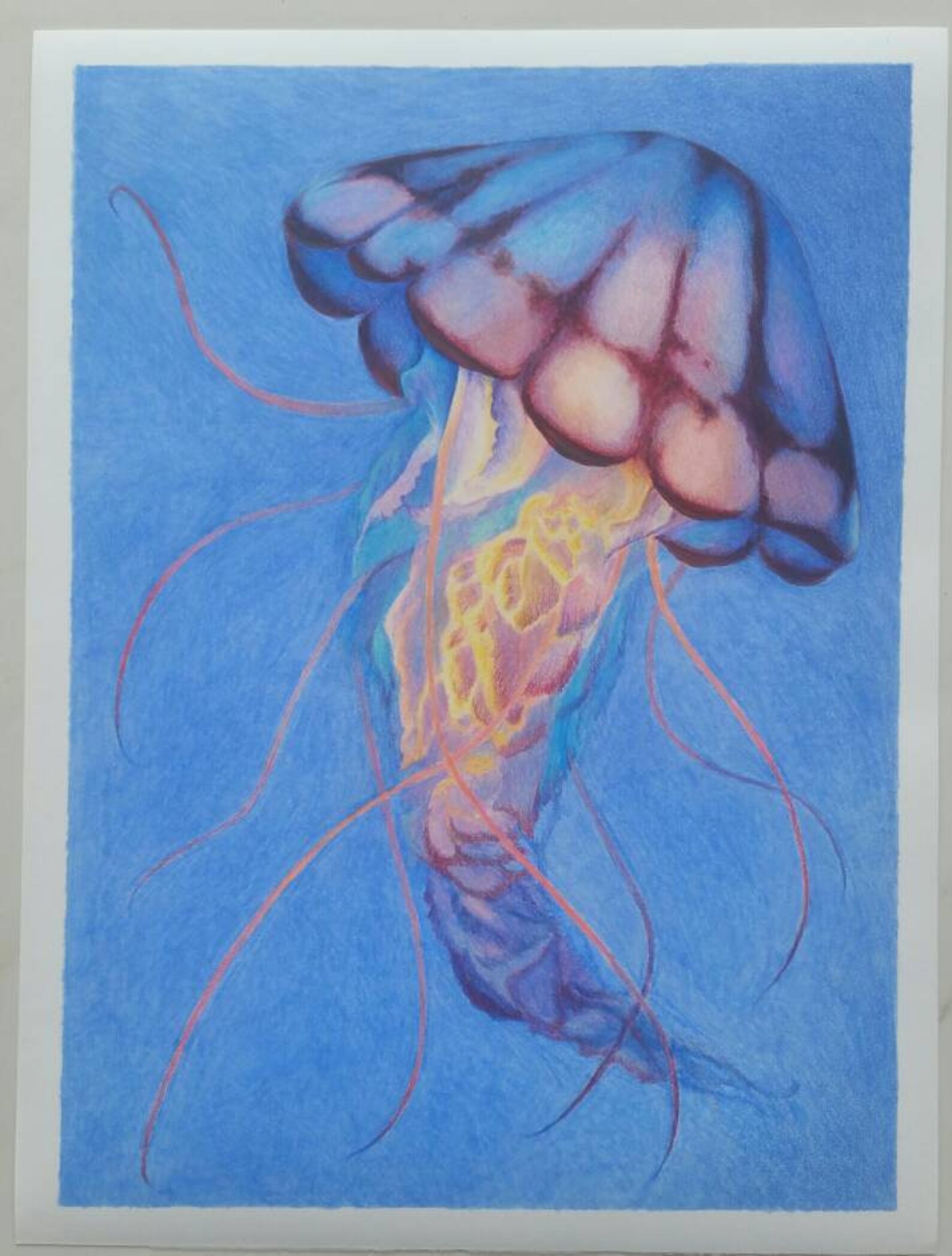 Jellyfish Original Marker and Coloured Pencil Drawing Etsy