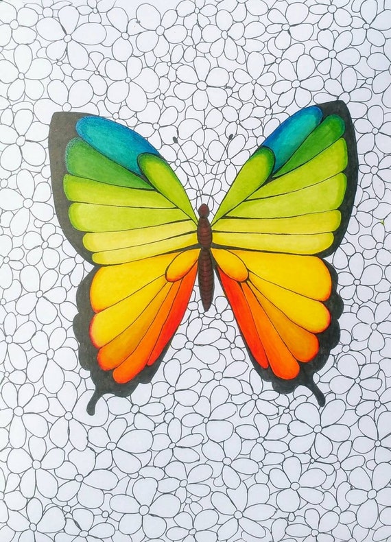 Rainbow Butterfly Marker and Coloured Pencil Drawing Etsy