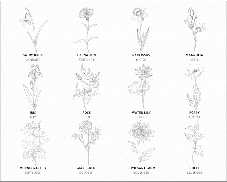 Puede incluir: Ilustraci&oacute;n en blanco y negro de doce flores diferentes, cada una representando un mes del a&ntilde;o. Las flores incluyen un galanto, clavel, narciso, magnolia, iris, rosa, nen&uacute;far, amapola, gloria de la ma&ntilde;ana, cal&eacute;ndula, crisantemo y acebo.