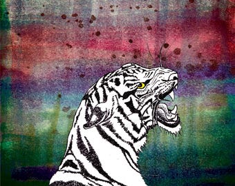 Art Image Downloads
