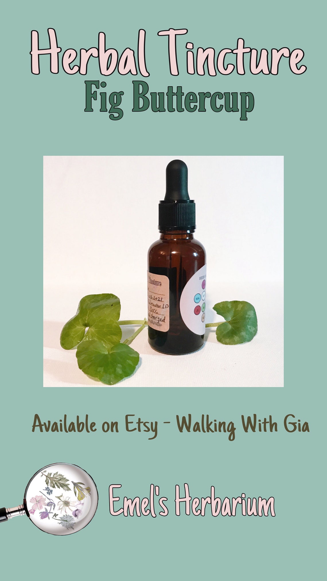Fig Buttercup Wild Organic Tincture Etsy