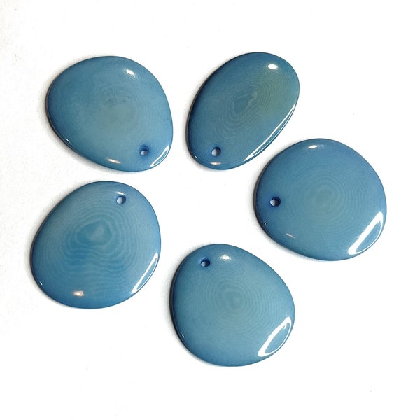 Tagua Nut Slice Beads in Light blue 15-32mm TGP105 (5 Pieces)