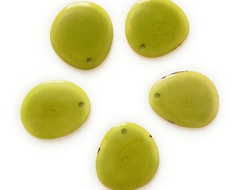 Tagua Nut Slice Beads in Lime Green 15-32mm TGP105 (5 Pieces)