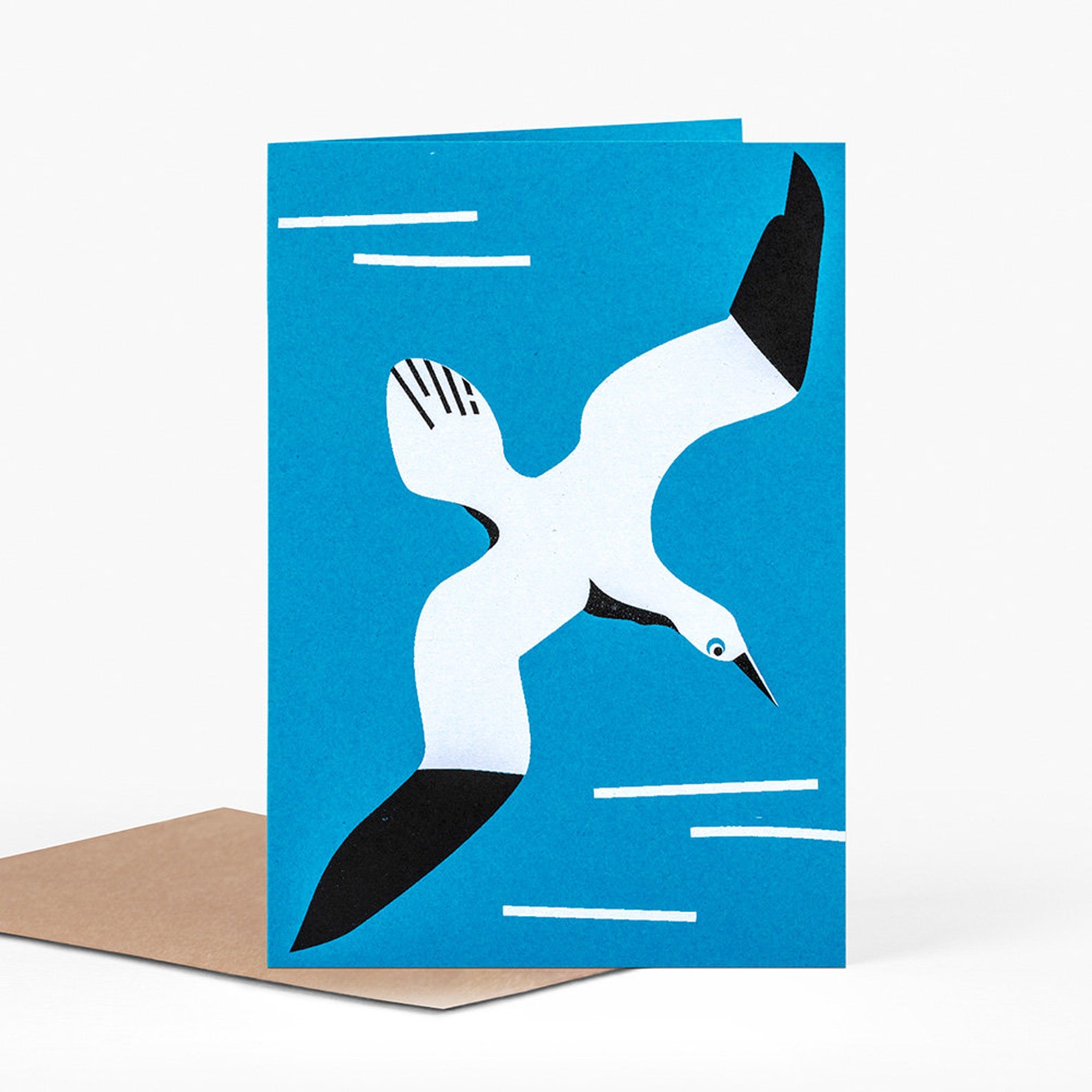 Sea bird Greetings Card Etsy