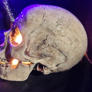 Creepy Skull Lamp