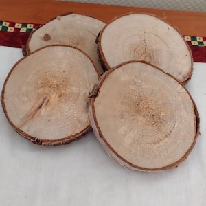 4 Baumscheiben  12 cm
