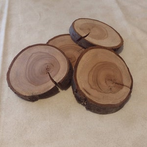 4 Baumscheiben  11 cm