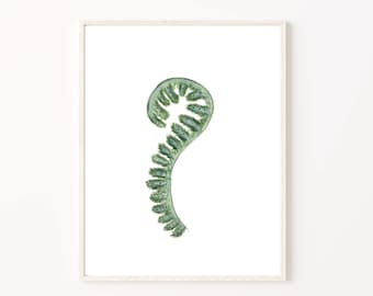 Fern Painting | Fern Watercolor Print | Fern Art Print | Nature Fern Painting