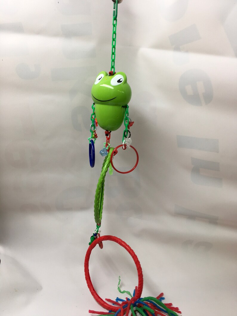 Sugar Glider Frog Dual Circle toy